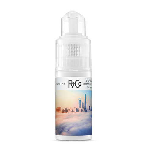 R + CO Skyline Dry Shampoo Powder