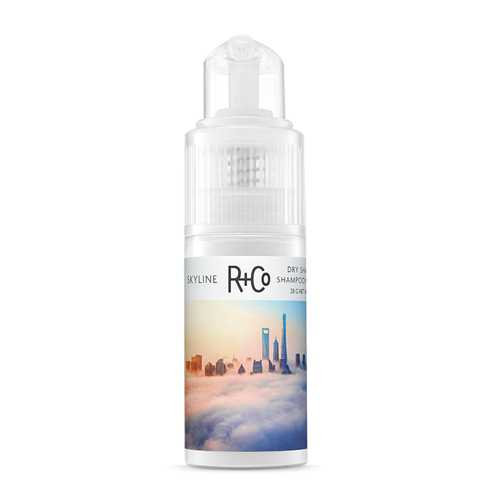 R + CO Skyline Dry Shampoo Powder